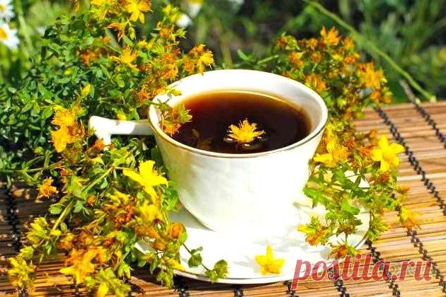 ЗВЕРОБОЙ - ТРАВА СЧАСТЬЯ 


Когда человек испытывает счастье и эйфорию, в его организме появляется высокая норма гормона, который имеет название серотонин . Его причисляют к так называемым гормонам счастья. 
Зверобой активно …