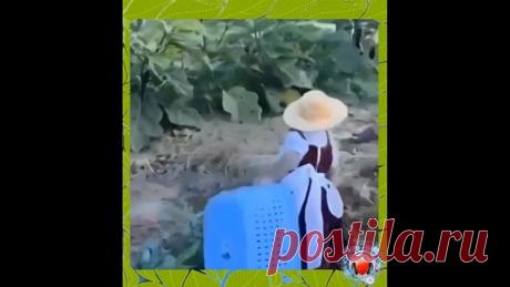 Прямо мини человек!