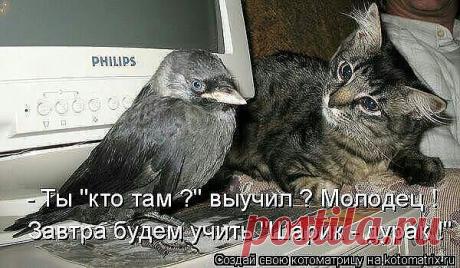 ((((Положительное Настроение))))
Петр Рубашкин