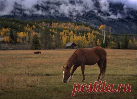 Фотография В предгорьях / Олег Фесенко / photographers.ua