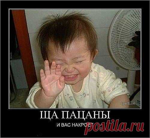 ща накроет