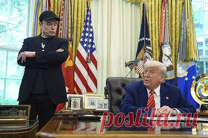 В России заявили о смелости Трампа и Маска