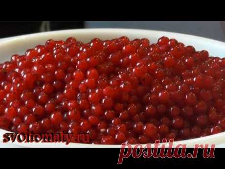 Желе из красной смородины