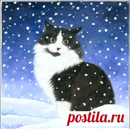Snow%20Cat