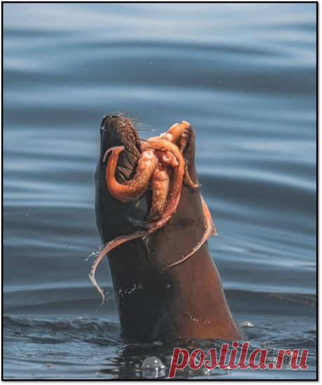 ! ШОК СНИМКИ ! | AZAS | Яндекс Дзен