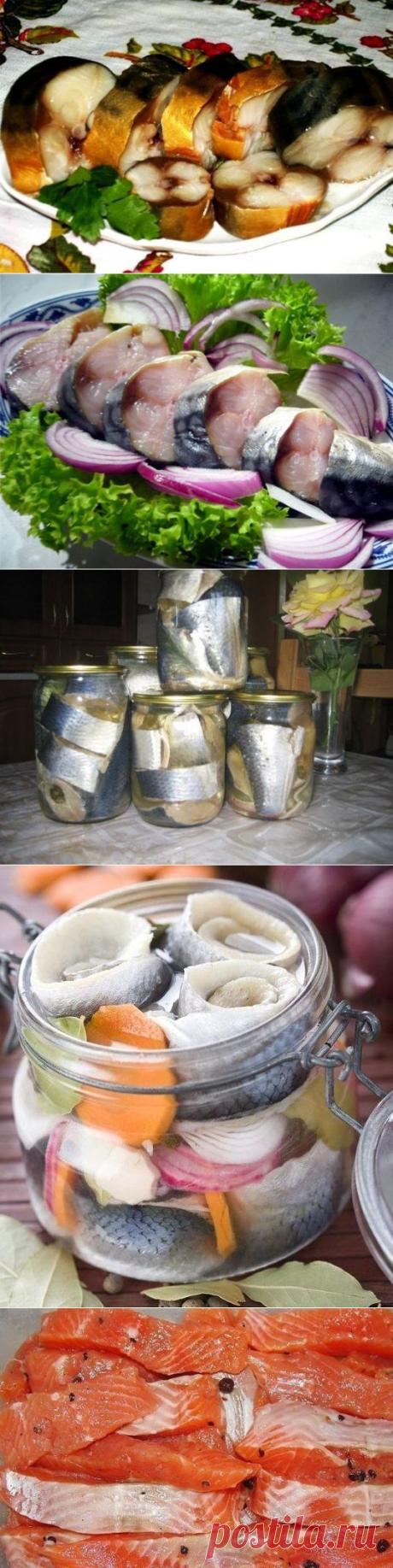 СОЛЁНАЯ, МАРИНОВАННАЯ, КОПЧЁНАЯ РЫБКА!