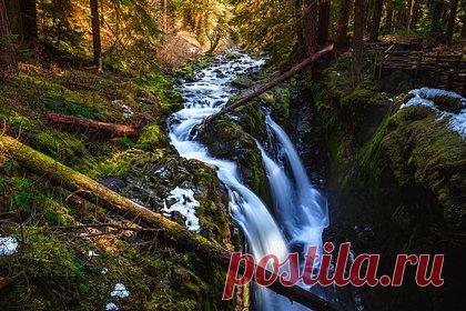 Туристка посетила национальный парк в США, бросила машину и загадочно исчезла