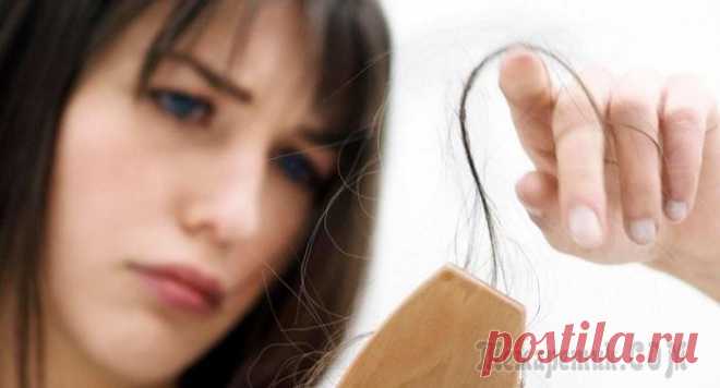 8 продуктов, употребление которых остановит выпадение волос