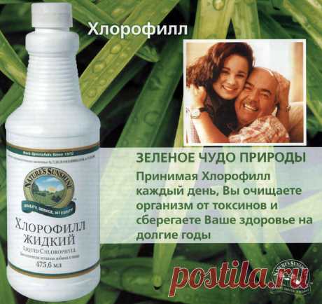 Все о Хлорофиле — зеленом чуде природы!!!ХЛОРОФИЛЛ — это кислород.
Мы имеем всего лишь 19% кислорода в окружающем нас пространстве.
Недостаток кислорода в организме и его пополнение с помощью Жидкого хлорофилла
Цель приема Жидкого Хлорофилла– увеличить поступление кислорода в организм, т.е. улучшить Ваше здоровье:
