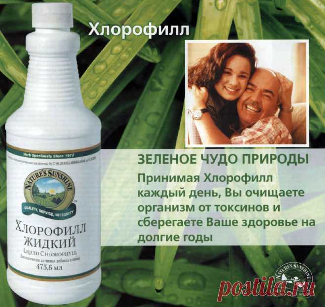 Все о Хлорофиле — зеленом чуде природы!!!ХЛОРОФИЛЛ — это кислород.
Мы имеем всего лишь 19% кислорода в окружающем нас пространстве.
Недостаток кислорода в организме и его пополнение с помощью Жидкого хлорофилла
Цель приема Жидкого Хлорофилла– увеличить поступление кислорода в организм, т.е. улучшить Ваше здоровье:
