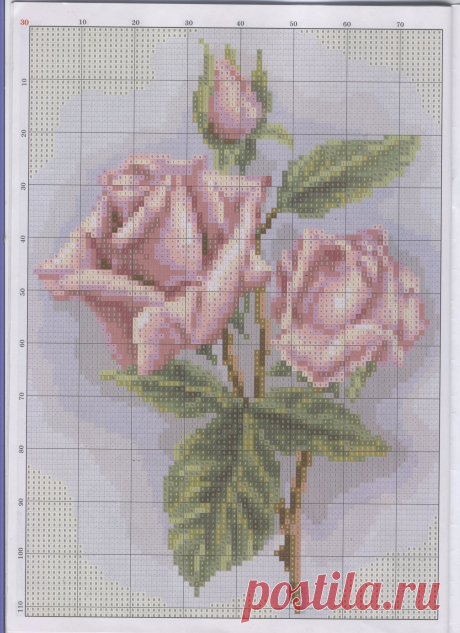 View image: роза1