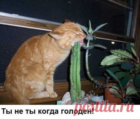 Проба на вкус.