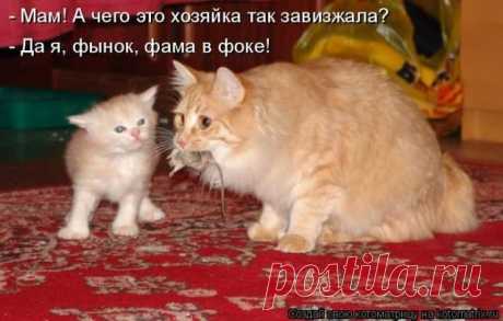 Всякое бывает, что и хозяйка визжит....