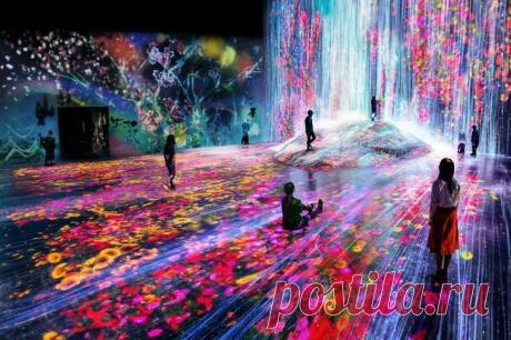 В Японии открыли первый в мире интерактивный музей цифрового искусства Окунуться в мир цифровых иллюзий, потанцевать с призраками, стать частью скопления света и тени — от желающих нет отбоя. Объявление на официальном сайте музея гласит, что все билеты распроданы.
В конц...