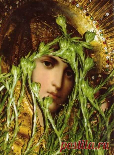 Галина — православная социальная сеть Елицы