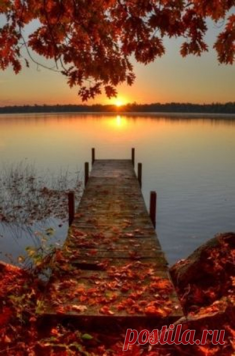 sunrise Search on Indulgy.com