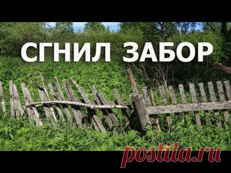 Бюджетный забор и калитка своими руками