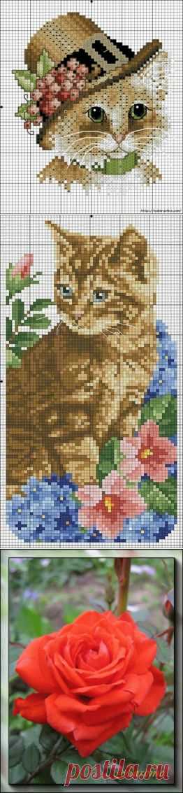 Кошки. Вышивка крестом. / Вышивка / Схемы вышивки крестом