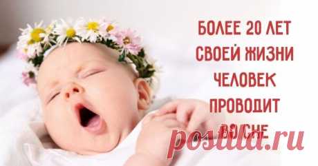 50 кратких и увлекательных фактов о человеке, которые и не вспомнишь со школьных времен.