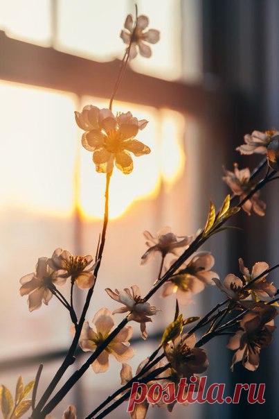 ✔ Просьбы на немецком языке  / Изучение немецкого языка