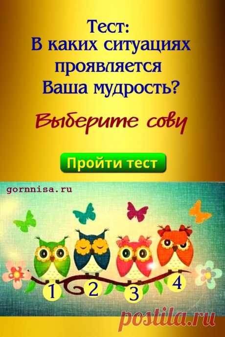Тест: В каких ситуациях проявляется Ваша мудрость? — ГОРНИЦА