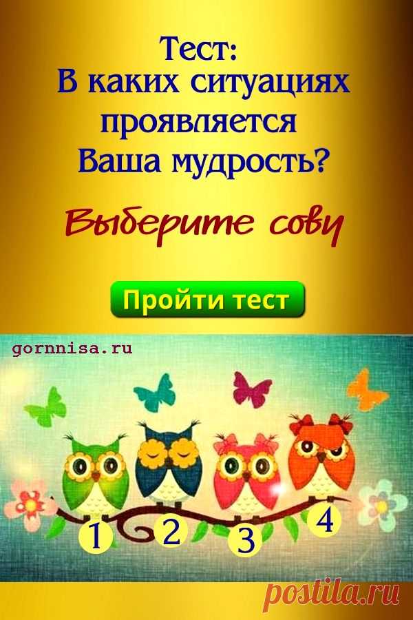 Тест: В каких ситуациях проявляется Ваша мудрость? — ГОРНИЦА