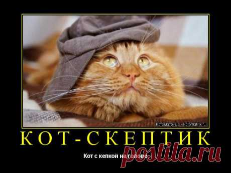 Котоматрица: Раздел "Постеры"
