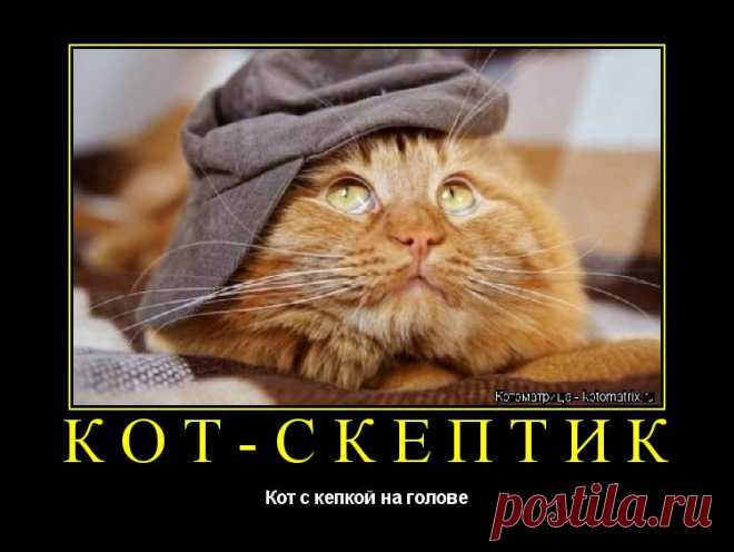 Котоматрица: Раздел 