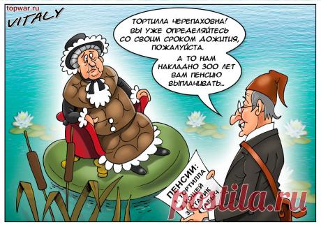 Хитрость и лень работников ПФР границ не знает. Ещё один из их способов обмана пенсионеров. | Хозяюшка МарТа. | Яндекс Дзен