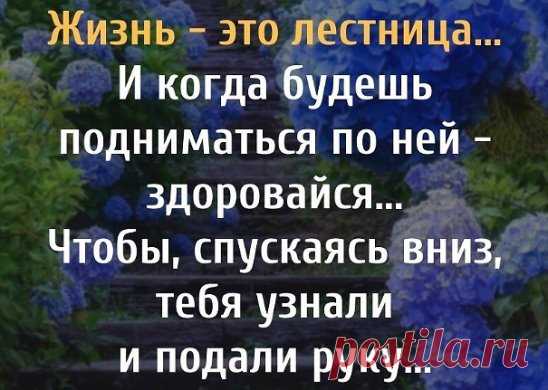 Жизнь словно лестница, где не видать и края -
По ней спуститься можно в ад или подняться к раю.
Куда по ней пойдешь, никто точно не знает,
Ведь люди за тебя твой путь не выбирают.
Прельстит дорога к низу - никто мешать не станет,
Поскольку легкий путь сильнее к себе манит.
Чем дальше, тем быстрее ступеньки вниз уводят,
И кубарем слететь туда ничто не стоит...
https://www.stihi.ru/2012/04/23/2867
