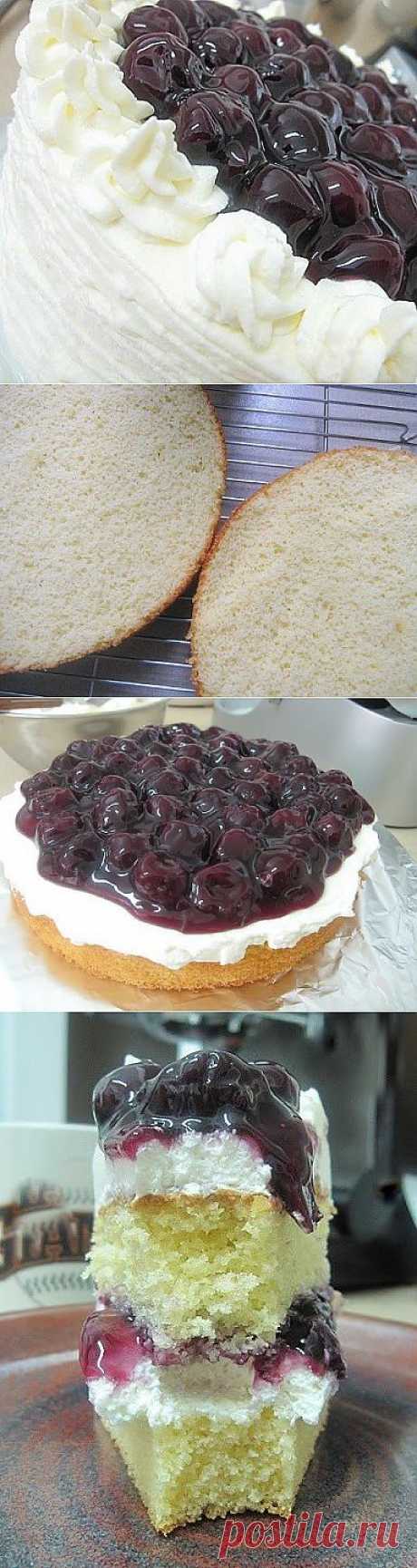 Торт &quot;Белый лес&quot;.