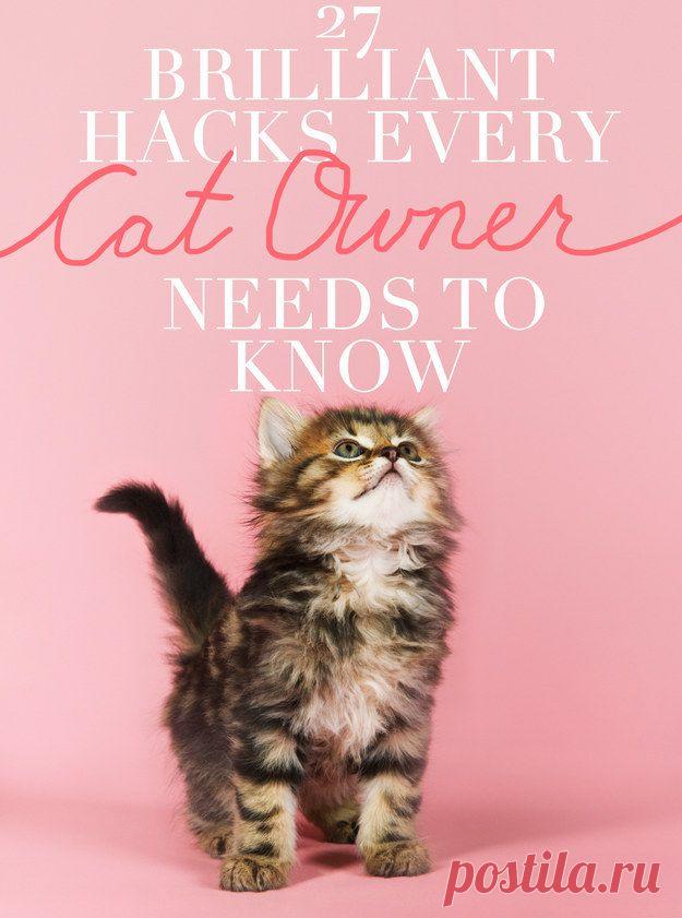 27 Brilliant Hacks Every Cat Owner Needs To Know