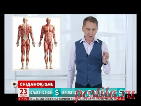 Експрес-урок - Чим литка відрізняється від гомілки?