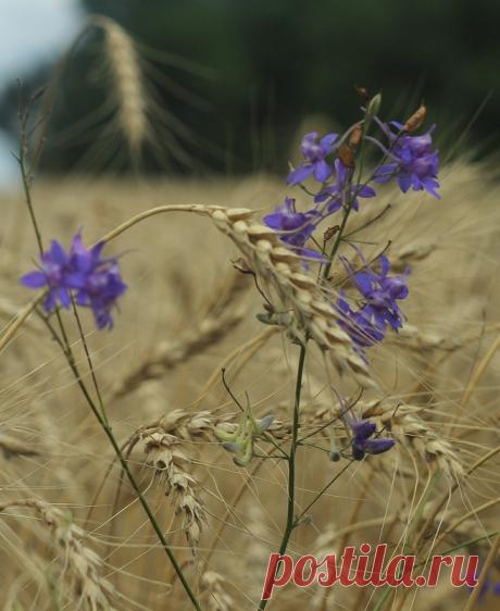 Дополняя... :: Александр Герасенков – Социальная сеть ФотоКто Фотография №488082 в рубрике «Пейзаж». Автор: Александр Герасенков
