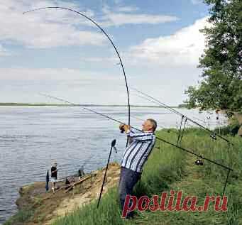 Правильная подсечка, вываживание и взятие рыбы в подсачек | Все о ловле рыбы - Рыбалке.нет