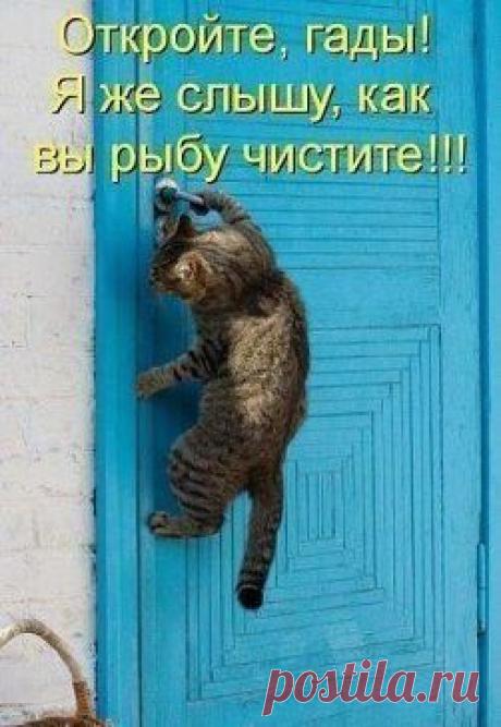 (23) Одноклассники