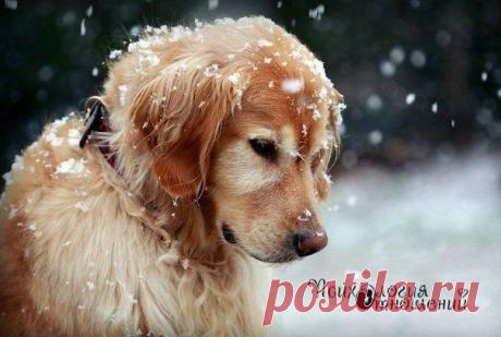 Психология отношений | ВКонтакте