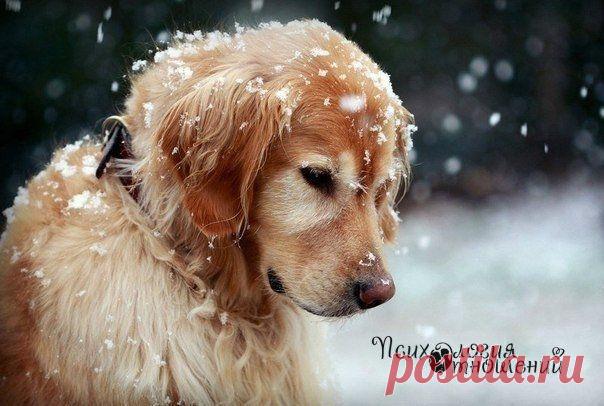 Психология отношений | ВКонтакте