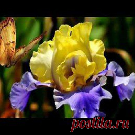 fotostrana.ru/usernews/search/музыка/