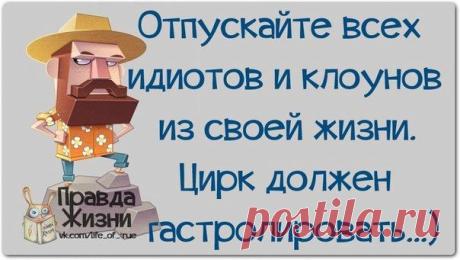 Прикольные фразочки в картинках..