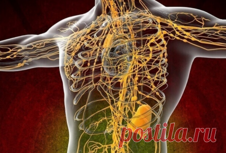 Лучшие рекомендации по очищению лимфатической системы - Журнал Советов Уходит слабость, синусит, головные боли и даже лишний вес! Лимфа — это живая вода организма. Она циркулирует по лимфатическим каналам, омывая все наше тело, осуществляя очищение клеток и выводя из организма все токсины и продукты распада жизнедеятельности вредоносных вирусов и бактерий. Именно лимфоузлы первыми сигнализируют нам о том, что с организмом что-то не так. Если […]