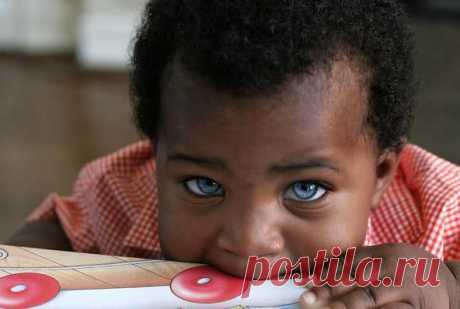 15+ Деток С Глазками Как У Кота В Сапогах, Из “Шрека”. | Лучшие истории со всего мира