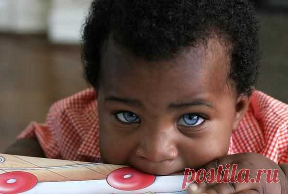 15+ Деток С Глазками Как У Кота В Сапогах, Из “Шрека”. | Лучшие истории со всего мира