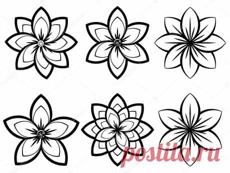 Картинки «Черно-белые цветы» (35 фото) ⭐ Забавник