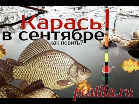 Как и на что ловить карася в сентябре? Секреты ловли карася в сентябре!