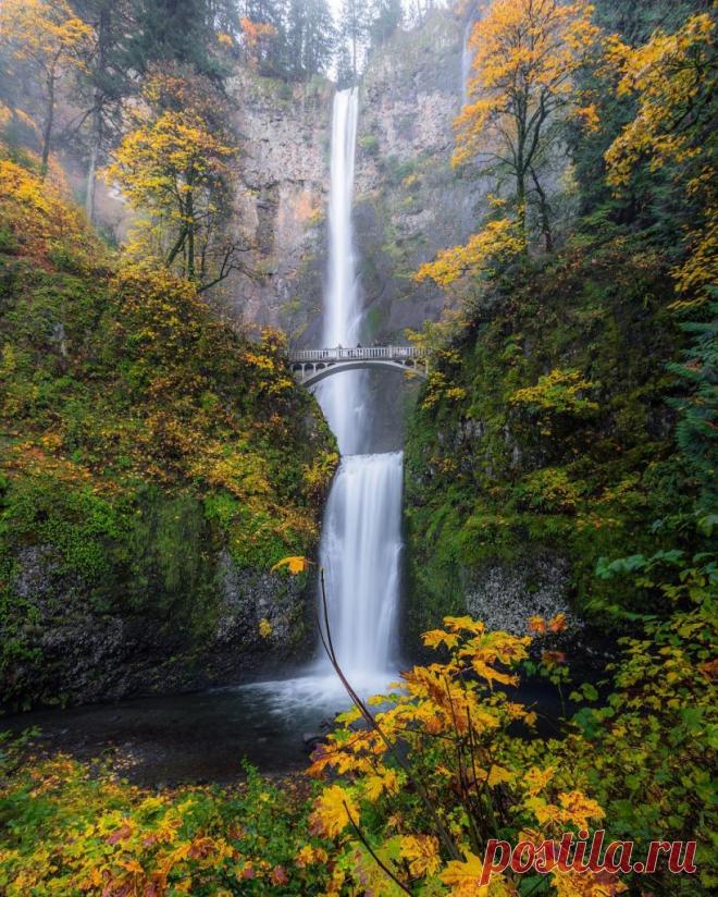 Прекрасная природа в фотографиях Росса Липсона (Ross Lipson) | Фотоискусство