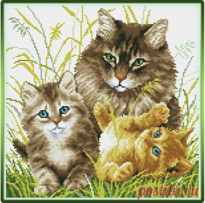 ​Кошка с котятами: вышивка крестиком