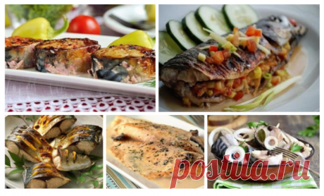 5 рецептов приготовления скумбрии, очень вкусно и полезно!