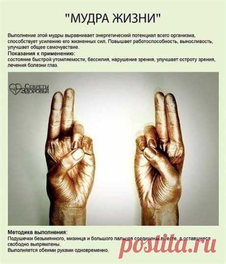 ИСЦЕЛЯЮЩИЕ МУДРЫ