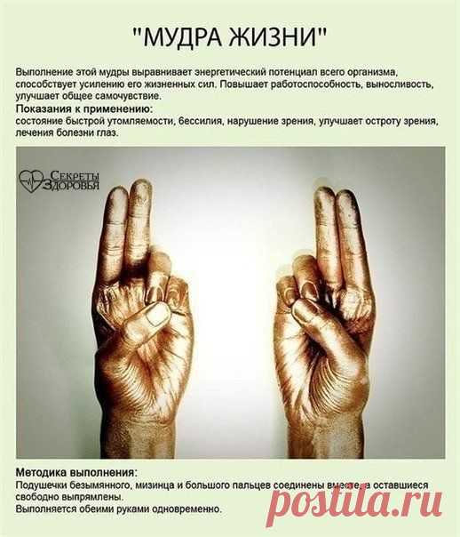ИСЦЕЛЯЮЩИЕ МУДРЫ